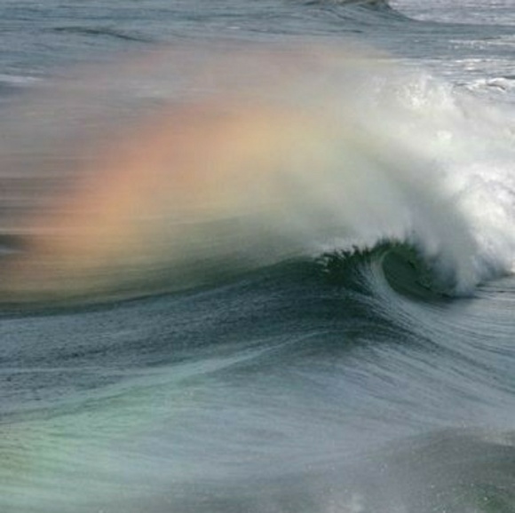 Meet your Posher, Jennifer - Picture 1 of 1